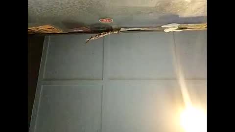 Warwick online show from 12-01-25, 06:51