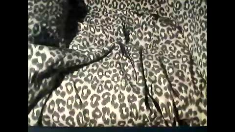 funcyman3 online show from 02-18-25, 06:04