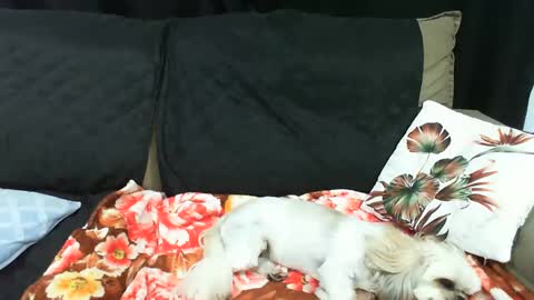 gaby  layla online show from 01-20-25, 02:01