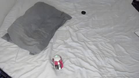 Snapshot of gabriel_olx chatting on 01-24-25, 09:28 gabriel online show from 01-24-25, 09:28