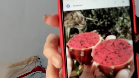 Snapshot of gabriela_duarte chatting on 01-19-25, 12:50 Gabi online show from 01-19-25, 12:50