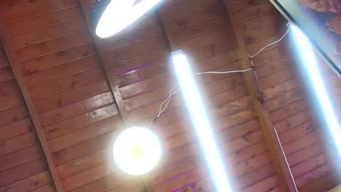 Snapshot of gabriela_leone chatting on 10-01-25, 07:09 gabriela online show from 10-01-25, 07:09