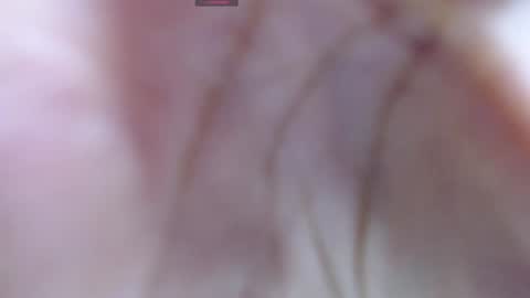 Snapshot of gabriela_morales01 chatting on 12-12-24, 05:31 . online show from 12-12-24, 05:31