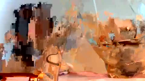 Dani online show from 01-23-25, 11:37