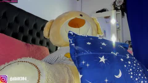 Snapshot of gabriiieela_ chatting on 03-01-25, 04:26 Sara online show from 03-01-25, 04:26