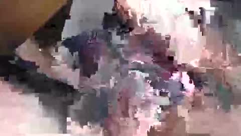 Gansozo online show from 11-23-25, 11:26