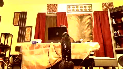 Snapshot of gatewaylaptop2019 chatting on 03-09-25, 07:56 gatewaylaptop2019 online show from 03-09-25, 07:56