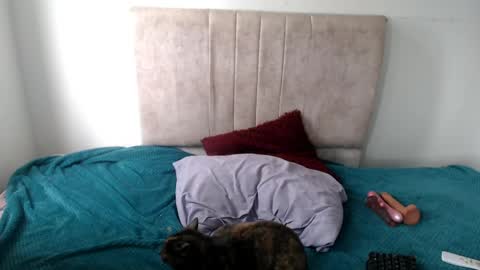 gatita13333321 online show from 04-13-26, 05:18