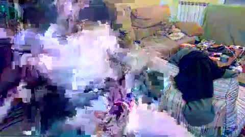 gatitosum32 online show from 12-24-24, 07:11