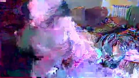 gatitosum32 online show from 12-25-24, 04:44