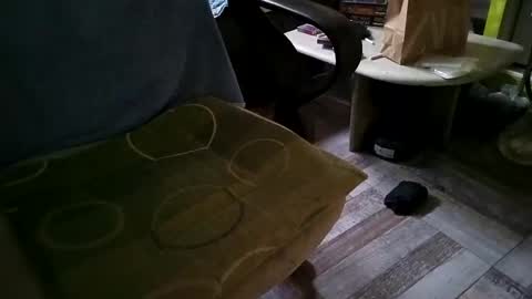 Snapshot of gazdadoka chatting on 03-12-25, 08:51 gazdadjoka online show from 03-12-25, 08:51