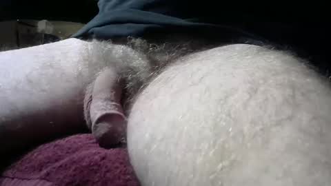 gemini_2 online show from 02-09-25, 06:54