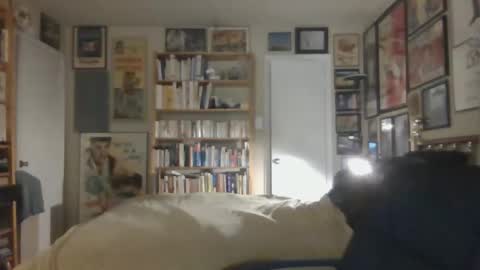 Steve online show from 11-26-25, 07:42