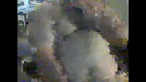 gerabo online show from 12-21-24, 04:57