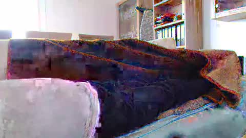 Snapshot of germanandy71 chatting on 12-29-24, 12:12 germanandy71 online show from 12-29-24, 12:12