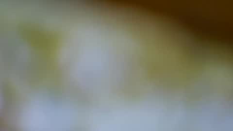 germanandy71 online show from 11-17-25, 12:00