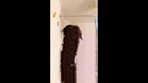 ggggu495826 online show from 02-10-26, 02:32