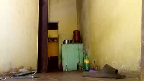 Gaby online show from 01-15-26, 06:00