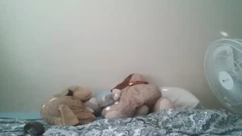 Snapshot of ghansberger2 chatting on 03-11-26, 11:44 ghansberger2 online show from 03-11-26, 11:44