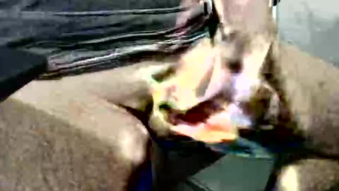 ghost1805 online show from 10-14-25, 03:51