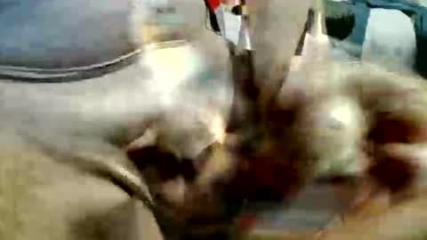 ghost1805 online show from 11-20-25, 10:53