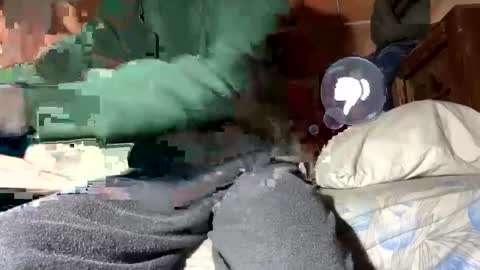 Snapshot of gicobest chatting on 01-12-25, 02:30 Corrado online show from 01-12-25, 02:30