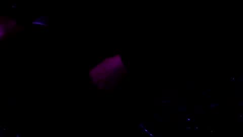 giftedbiker online show from 01-09-25, 06:17