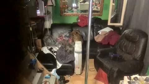 GinaGender online show from 11-24-25, 07:13