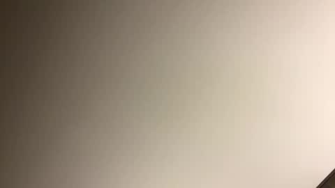 gingercockring online show from 03-09-25, 07:12