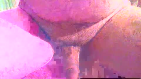 girafsnoop online show from 12-01-25, 04:01