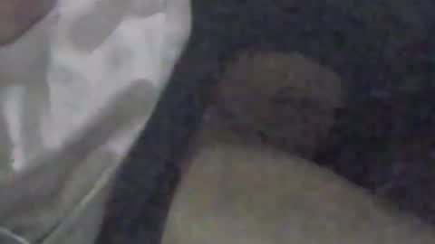 lovegirlscallme online show from 09-09-25, 03:33