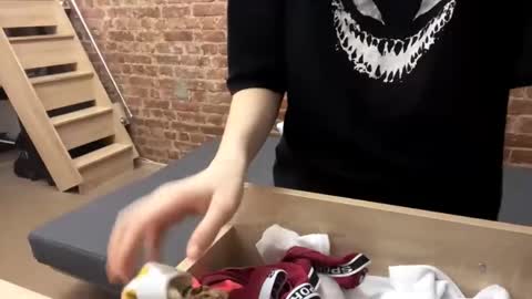 Bella online show from 10-25-25, 03:29