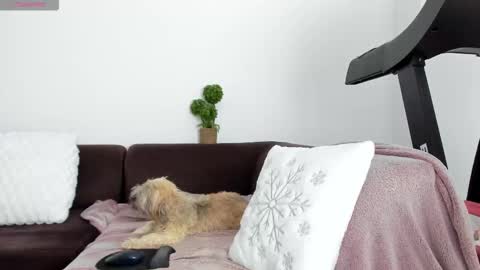 Alice online show from 01-13-26, 10:26