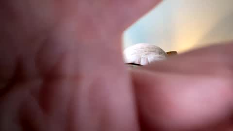 Snapshot of gngnxxx chatting on 10-07-25, 12:02 gngnxxx online show from 10-07-25, 12:02