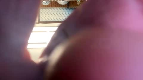 gngnxxx online show from 04-16-26, 04:02