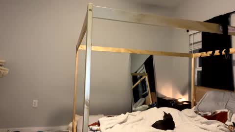 feyaa22 online show from 01-12-25, 11:47