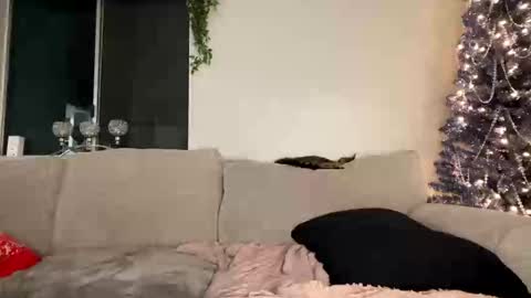 GoddessMayvn online show from 12-26-24, 03:59