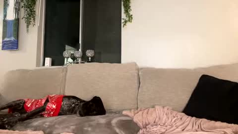 GoddessMayvn online show from 12-26-24, 10:16