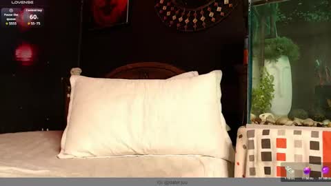 Snapshot of godly_huan chatting on 01-09-26, 05:21 HUAN online show from 01-09-26, 05:21