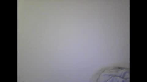 Snapshot of gohan8558 chatting on 12-25-24, 02:56 gohan8558 online show from 12-25-24, 02:56