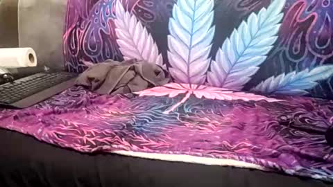 Goldcmen online show from 01-17-25, 04:06