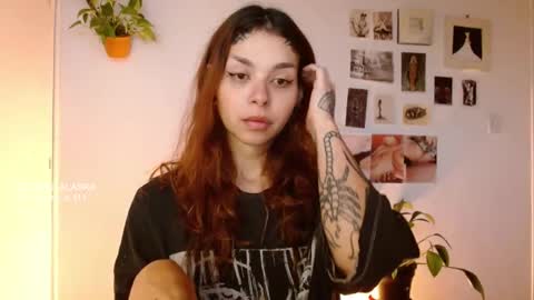 Alaska online show from 10-29-25, 11:56