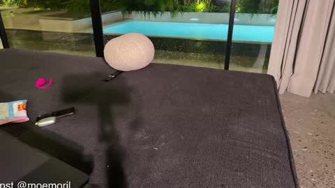 Snapshot of golden_alinee chatting on 02-22-26, 02:04 Aline meow online show from 02-22-26, 02:04