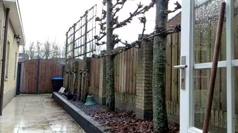   online show from 12-23-24, 12:41