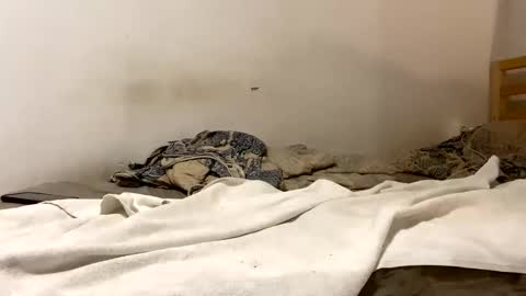 Snapshot of goldmedalexcellent chatting on 01-15-26, 09:07 Goldmedal online show from 01-15-26, 09:07