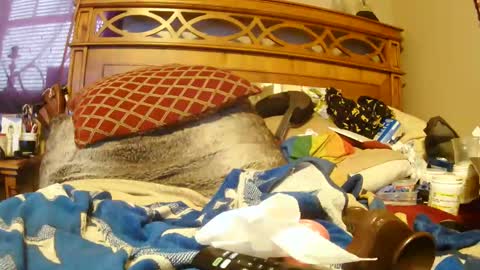 Juicy Booty online show from 01-18-25, 06:53