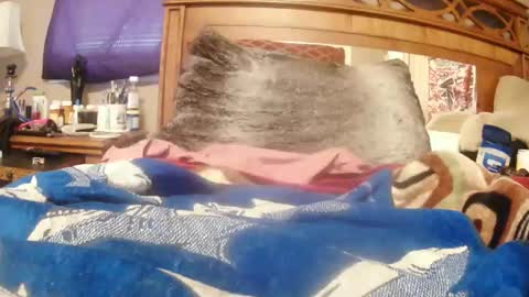 Juicy Booty online show from 02-23-25, 02:46