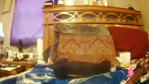 Juicy Booty online show from 02-27-25, 06:42