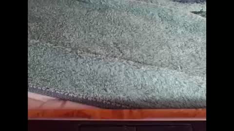 goodboy online show from 12-08-24, 03:45