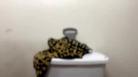 Snapshot of gooddick4206969 chatting on 05-31-26, 12:12 Good Dick online show from 05-31-26, 12:12